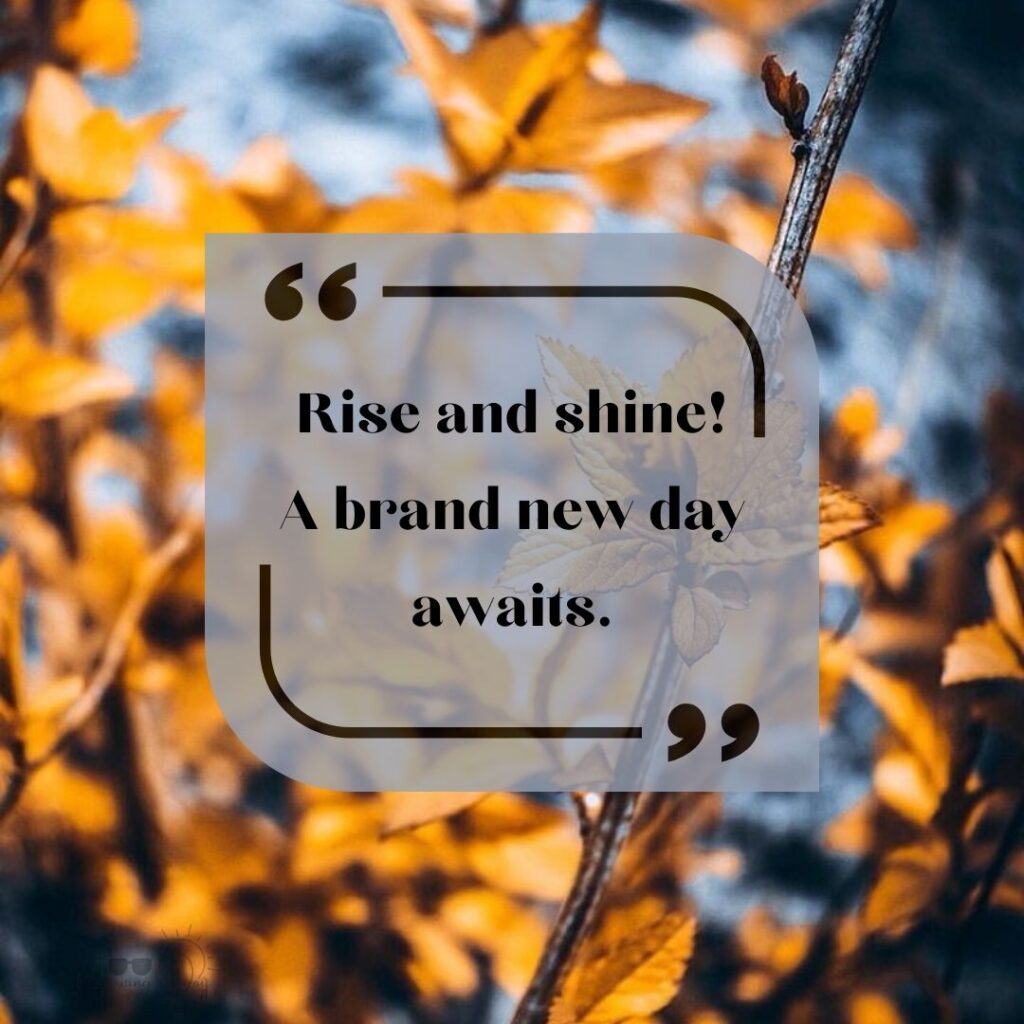 Start Fresh Morning Quotes: 99 start fresh quotes-1