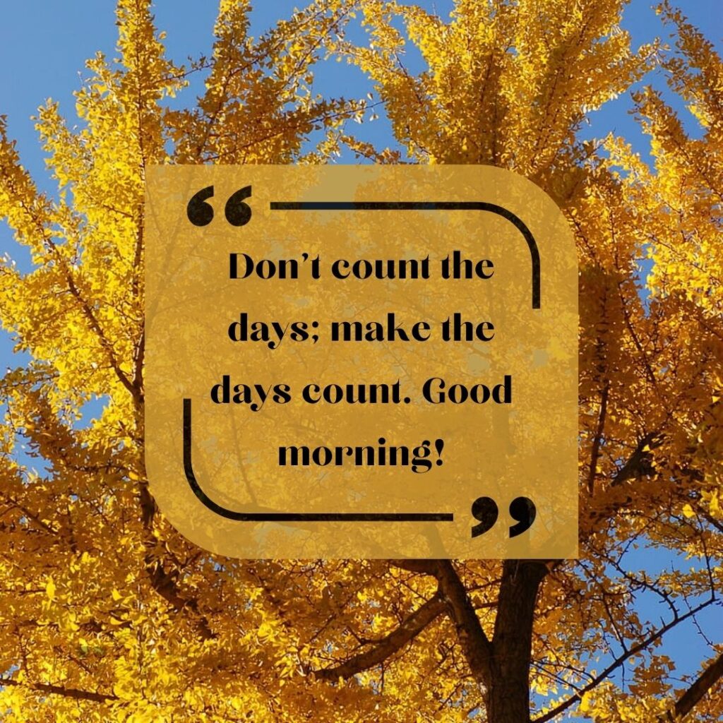 Start Fresh Morning Quotes: 88 let's start fresh quotes-12