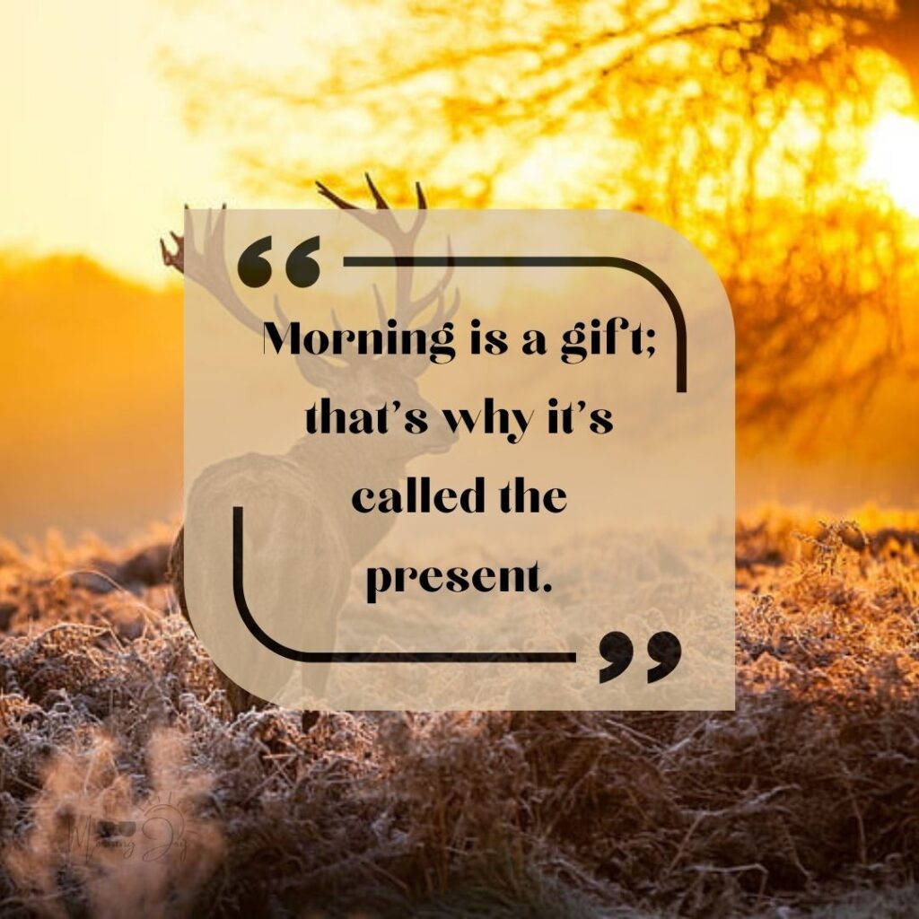 Start Fresh Morning Quotes: 86 let's start fresh quotes-14