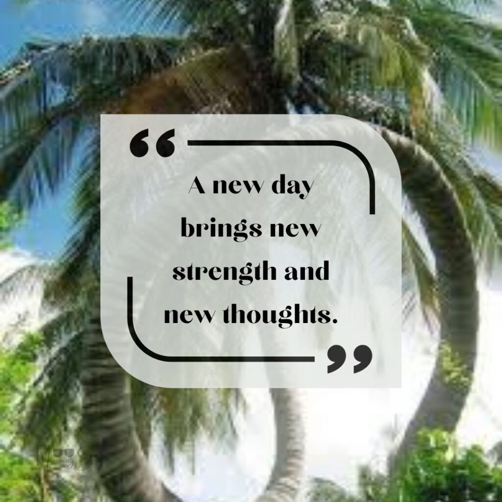 Start Fresh Morning Quotes: 75 new day start fresh quotes-26