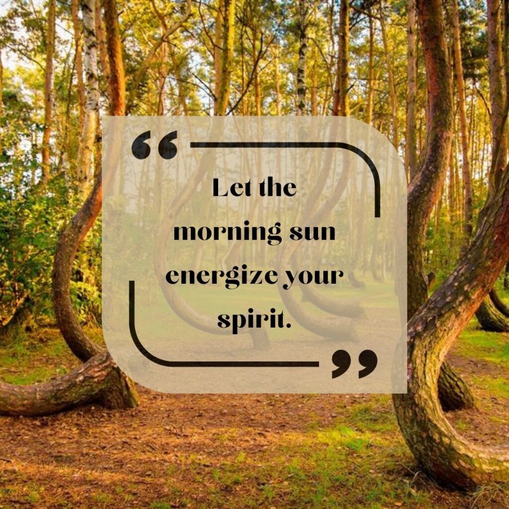 Start Fresh Morning Quotes: 74 new day start fresh quotes-27