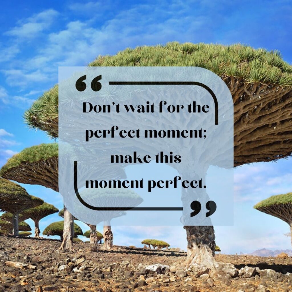 Start Fresh Morning Quotes: 73 new day start fresh quotes-28