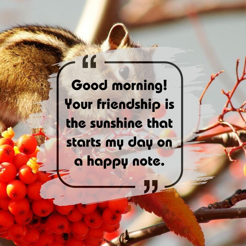 good morning friends quotes-37