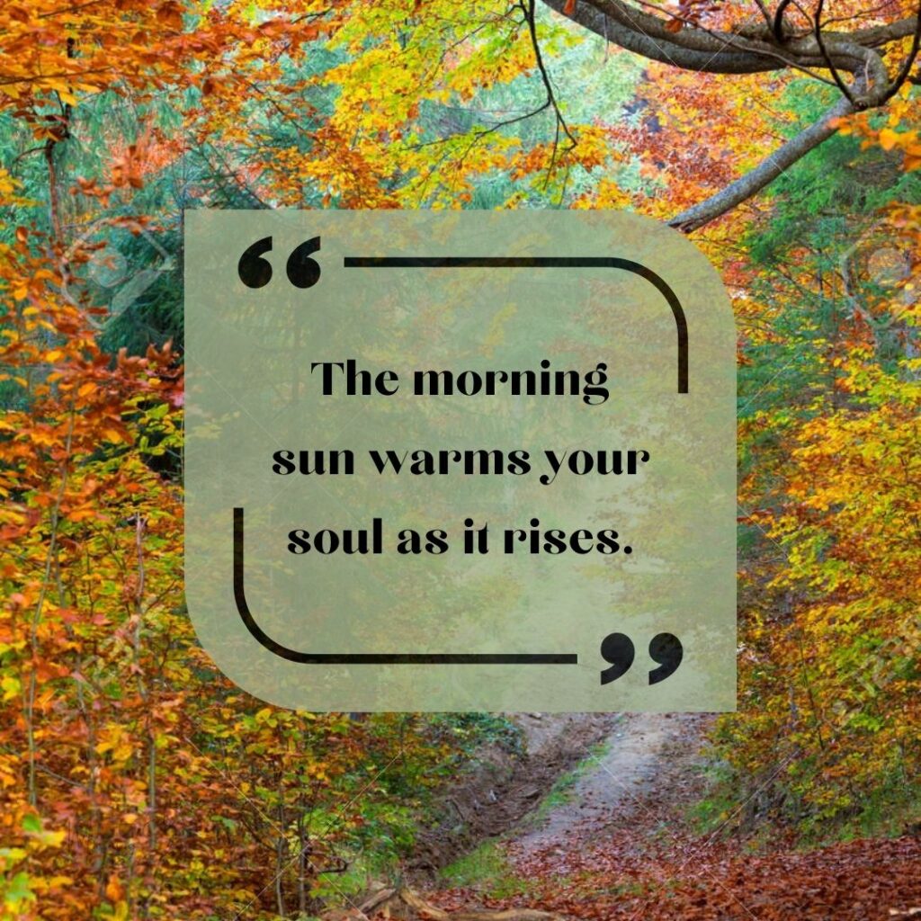 Start Fresh Morning Quotes: 62 fresh start quotes images-39