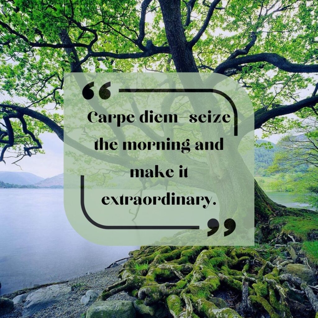 Start Fresh Morning Quotes: 54 fresh start quotes short-47