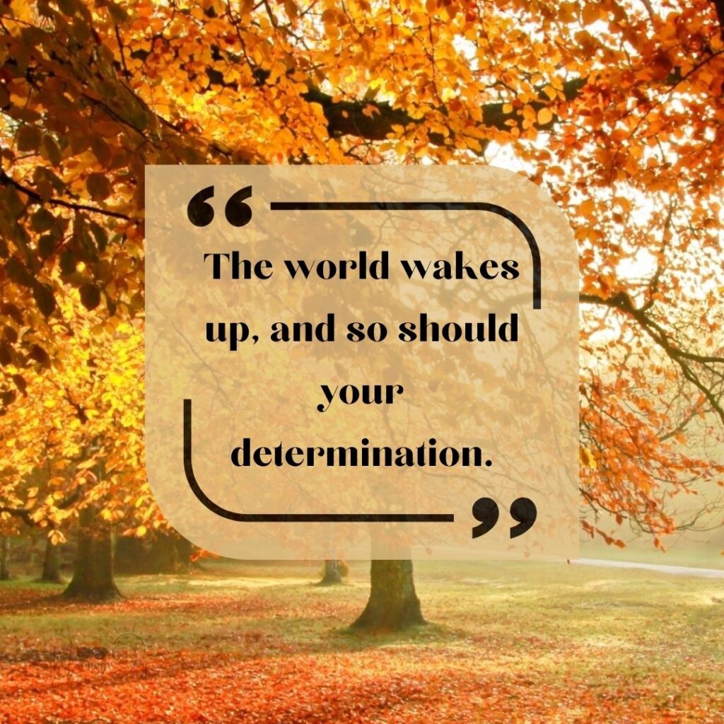 Start Fresh Morning Quotes: 50 Start Fresh Good Morning Quotes-51