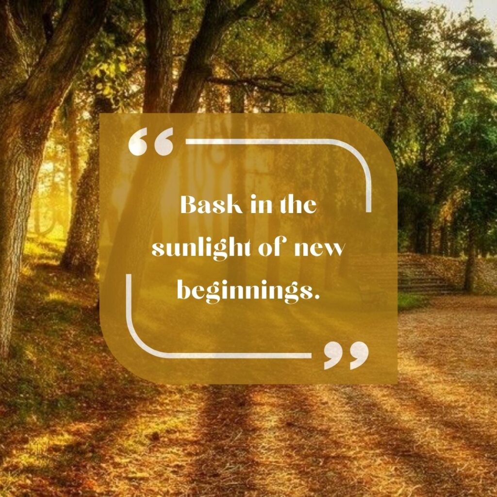 Start Fresh Morning Quotes: 46 Start Fresh Good Morning Quotes-55