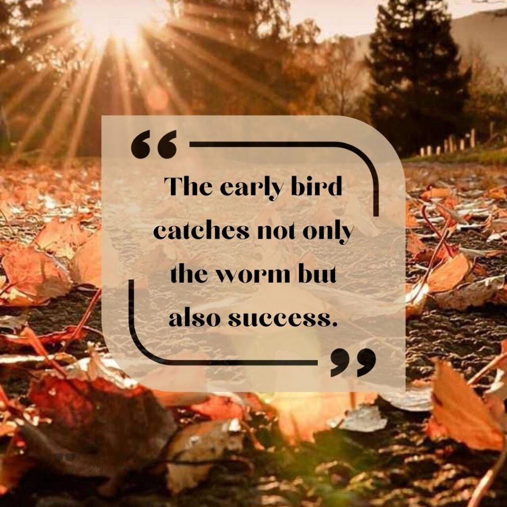 Start Fresh Morning Quotes: 41 Start Fresh Good Morning Quotes-60