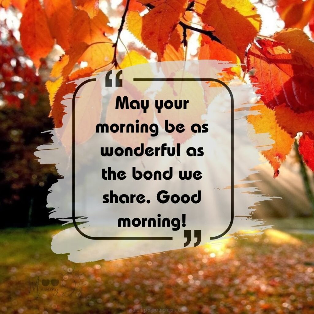 Friendship's Morning Quotes-84