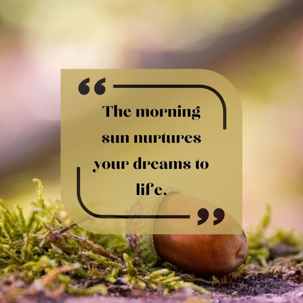 Start Fresh Morning Quotes: 17 new day fresh start quotes-84