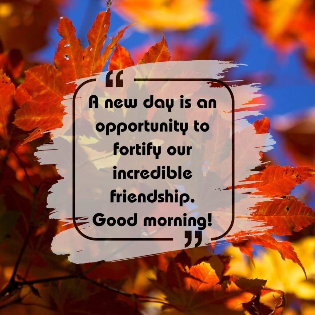 Friendship's Morning Quotes-86