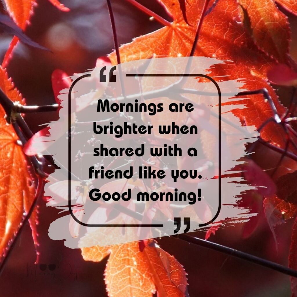 Friendship's Morning Quotes-88