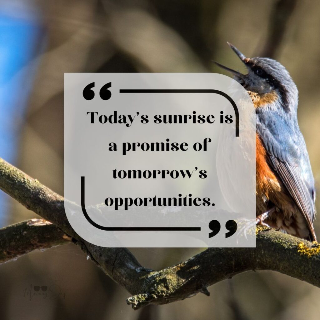 Start Fresh Morning Quotes: 12 new day fresh start quotes-89