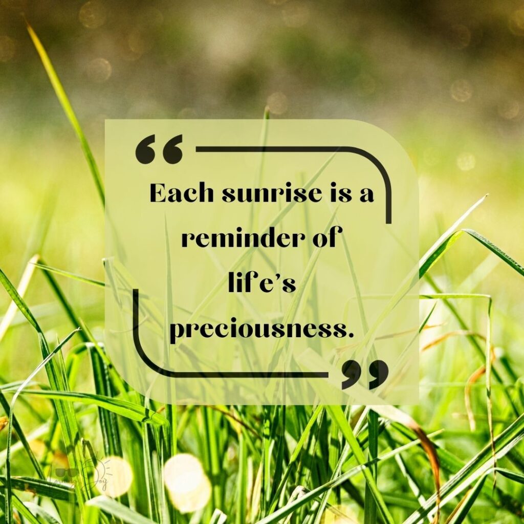 Start Fresh Morning Quotes: 7 new week fresh start quotes-94