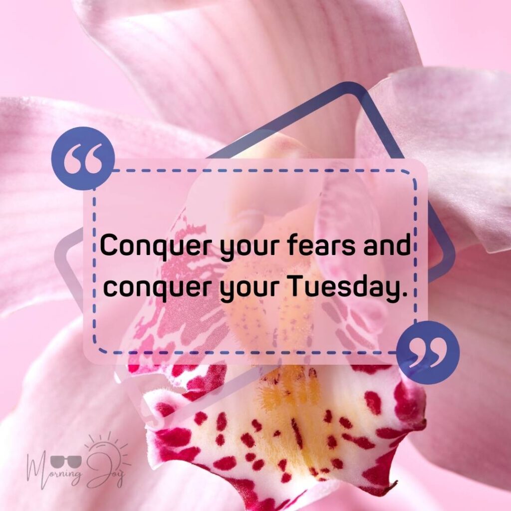 Tuesday Quotes for a Dynamic Week Ahead 77 Tuesday quotes and images-19