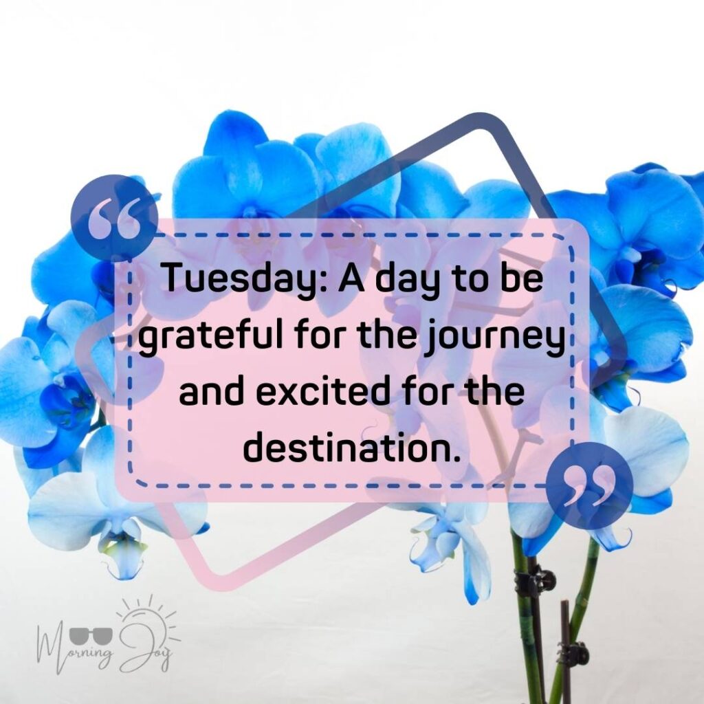 Tuesday Quotes for a Dynamic Week Ahead 76 Tuesday quotes and images-20