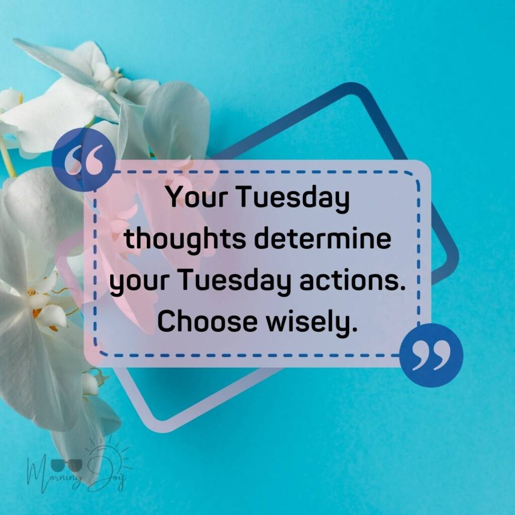 Tuesday Quotes for a Dynamic Week Ahead 73 Tuesday quotes and images-23