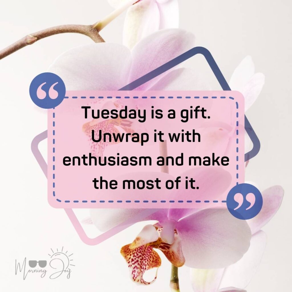 Tuesday Quotes for a Dynamic Week Ahead 70 positive humorous Tuesday quotes-26