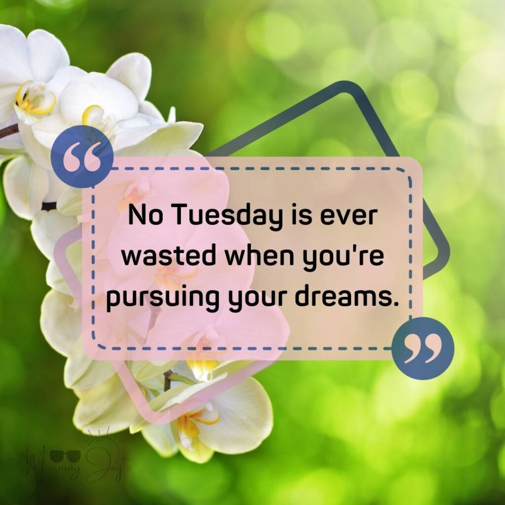 Tuesday Quotes for a Dynamic Week Ahead 69 positive humorous Tuesday quotes-27