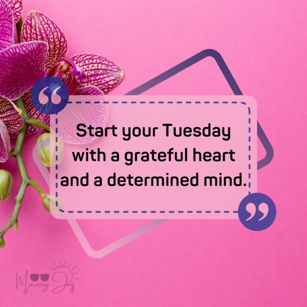 Tuesday Quotes for a Dynamic Week Ahead 68 positive humorous Tuesday quotes-28