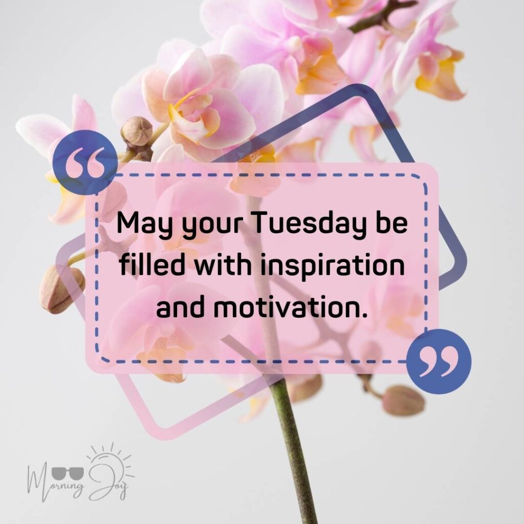 Tuesday Quotes for a Dynamic Week Ahead 67 positive humorous Tuesday quotes-29