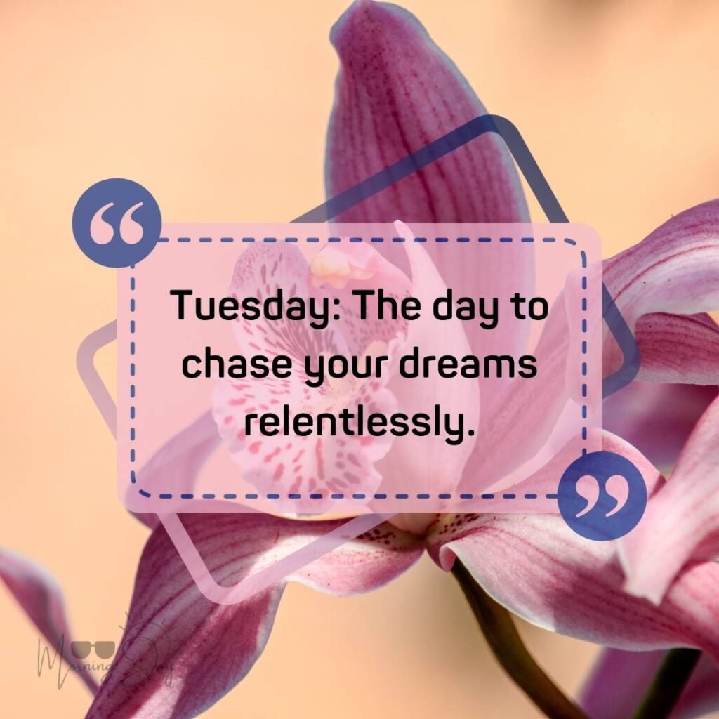 Tuesday Quotes for a Dynamic Week Ahead 66 positive humorous Tuesday quotes-30