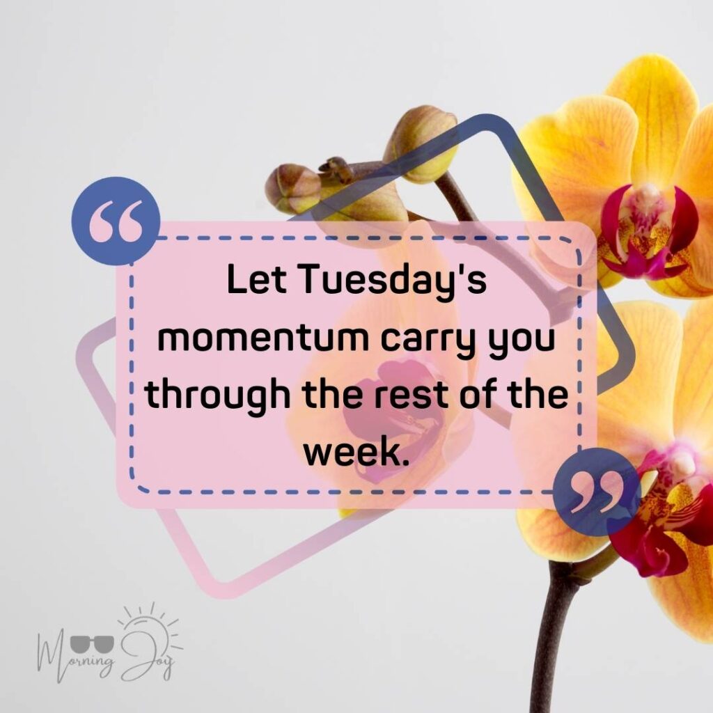 Tuesday Quotes for a Dynamic Week Ahead 64 positive humorous Tuesday quotes-32