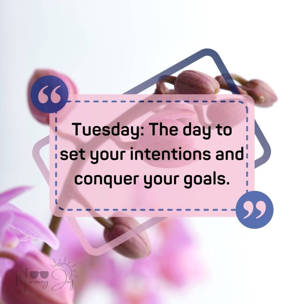 Tuesday Quotes for a Dynamic Week Ahead 63 positive humorous Tuesday quotes-33
