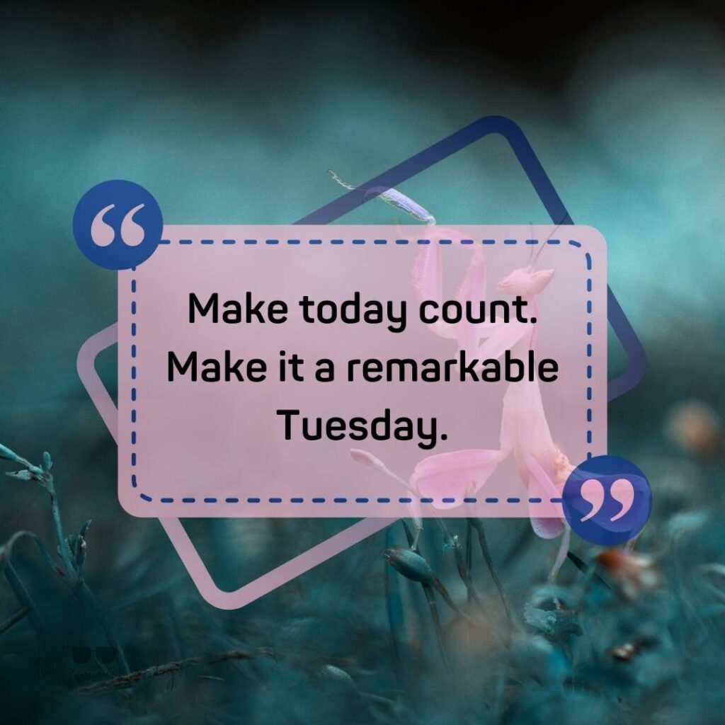 Tuesday Quotes for a Dynamic Week Ahead 62 positive humorous Tuesday quotes-34