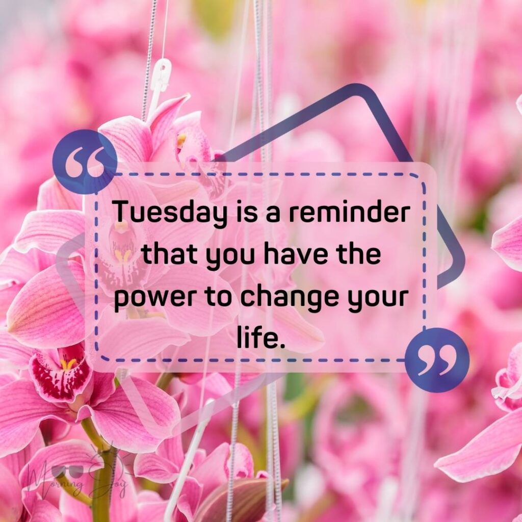 Tuesday Quotes for a Dynamic Week Ahead 61 Tuesday quotes and images-35
