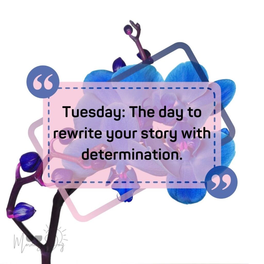 Tuesday Quotes for a Dynamic Week Ahead 49 good morning Tuesday quotes-47