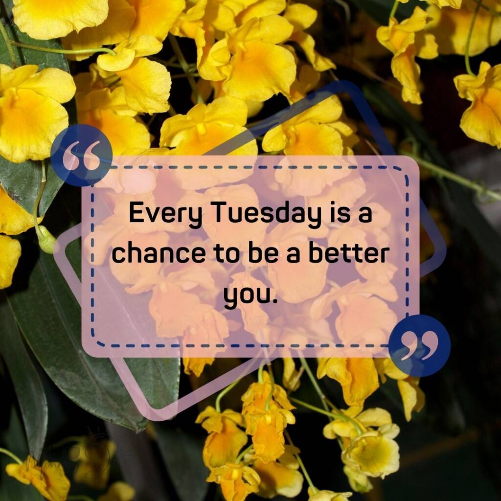 Tuesday Quotes for a Dynamic Week Ahead 48 good morning Tuesday quotes-48