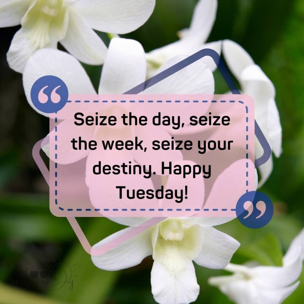 Tuesday Quotes for a Dynamic Week Ahead 46 good morning Tuesday quotes-50