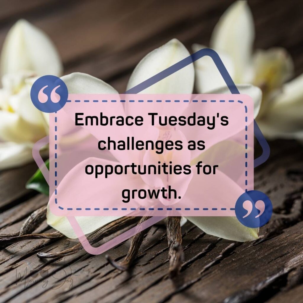 Tuesday Quotes for a Dynamic Week Ahead 43 good morning Tuesday quotes-53