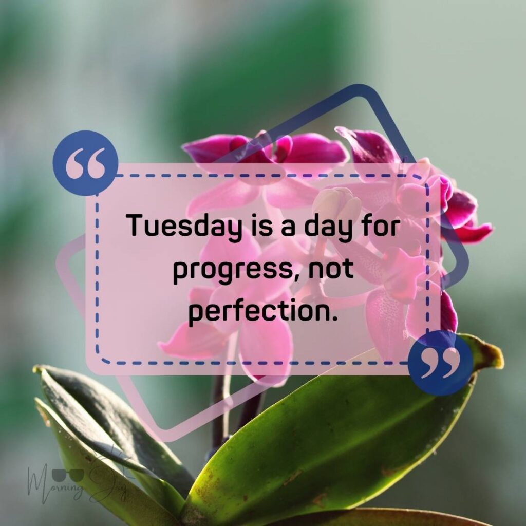 Tuesday Quotes for a Dynamic Week Ahead 41 good morning Tuesday quotes-55