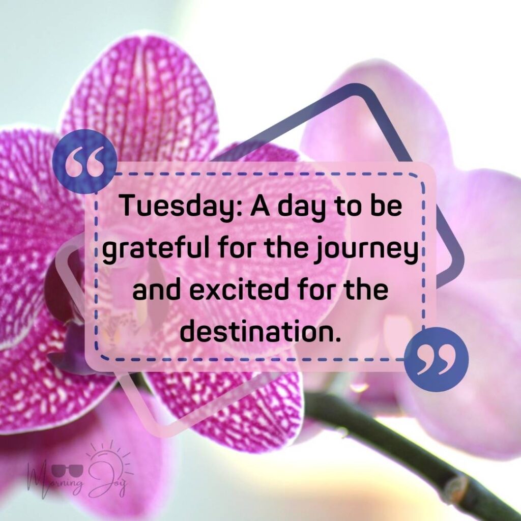 Tuesday Quotes for a Dynamic Week Ahead 31 positive Tuesday quotes-65
