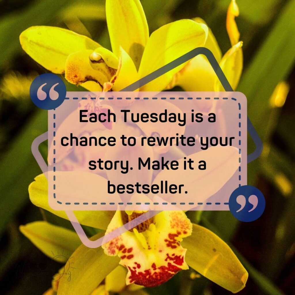 Tuesday Quotes for a Dynamic Week Ahead 25 positive Tuesday quotes-71