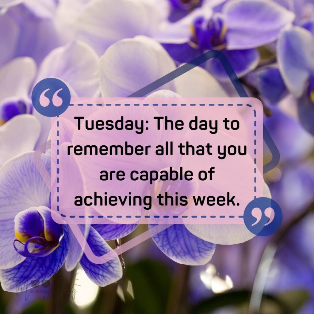 Tuesday Quotes for a Dynamic Week Ahead 22 positive Tuesday quotes-74