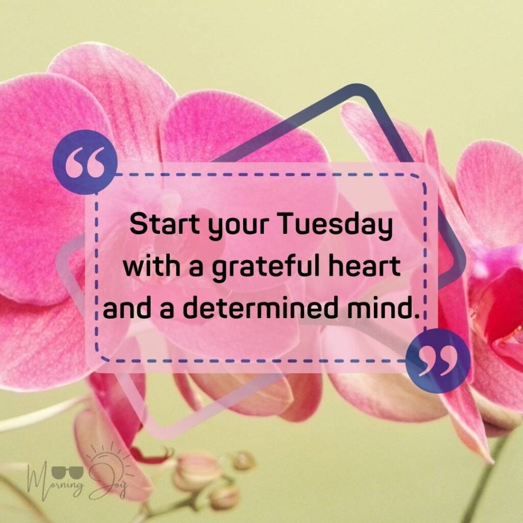 Tuesday Quotes for a Dynamic Week Ahead 18 positive Tuesday quotes-78