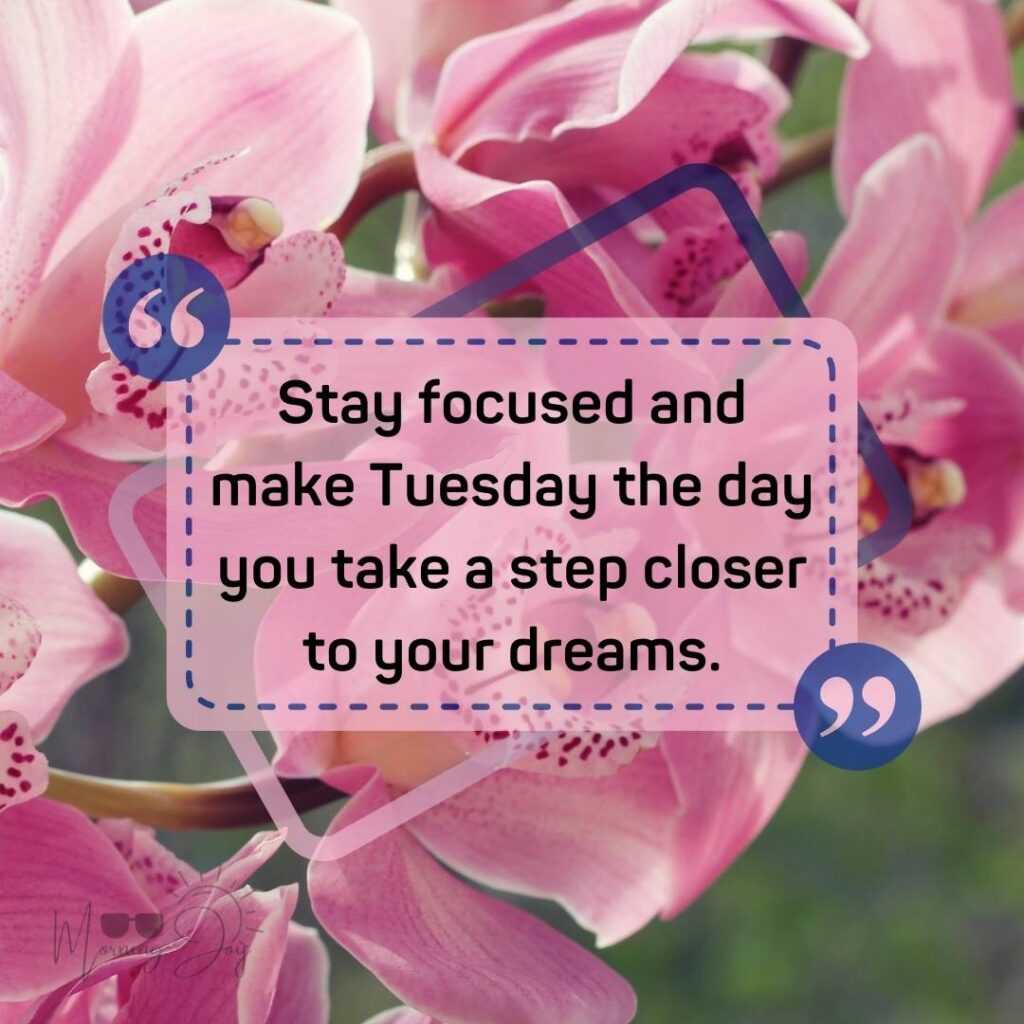 Tuesday Quotes for a Dynamic Week Ahead 15 happy Tuesday quotes-81