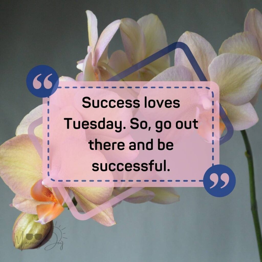 Tuesday Quotes for a Dynamic Week Ahead 10 happy Tuesday quotes-86