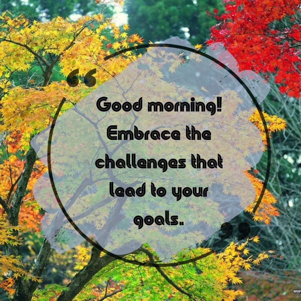 Goals and Aspirations Good Morning Quotes-92