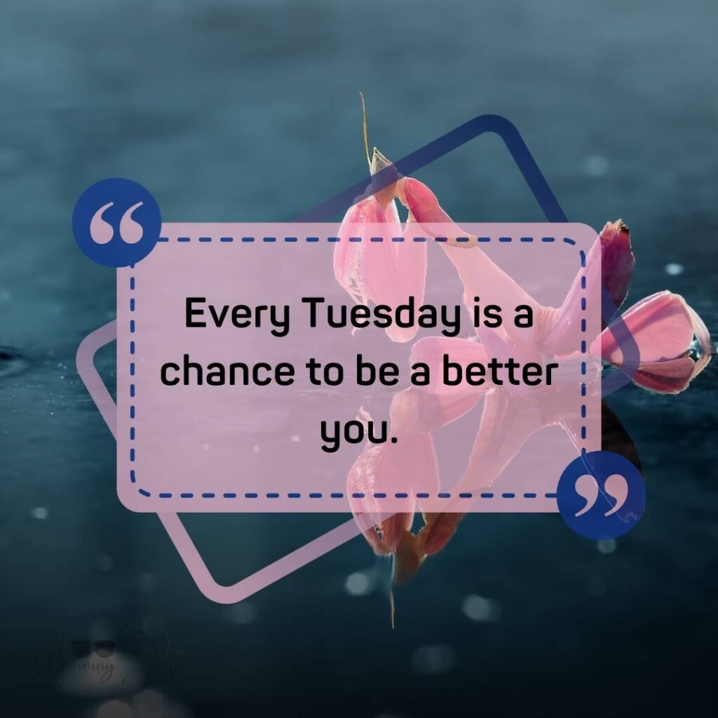 Tuesday Quotes for a Dynamic Week Ahead 4 happy Tuesday quotes-92
