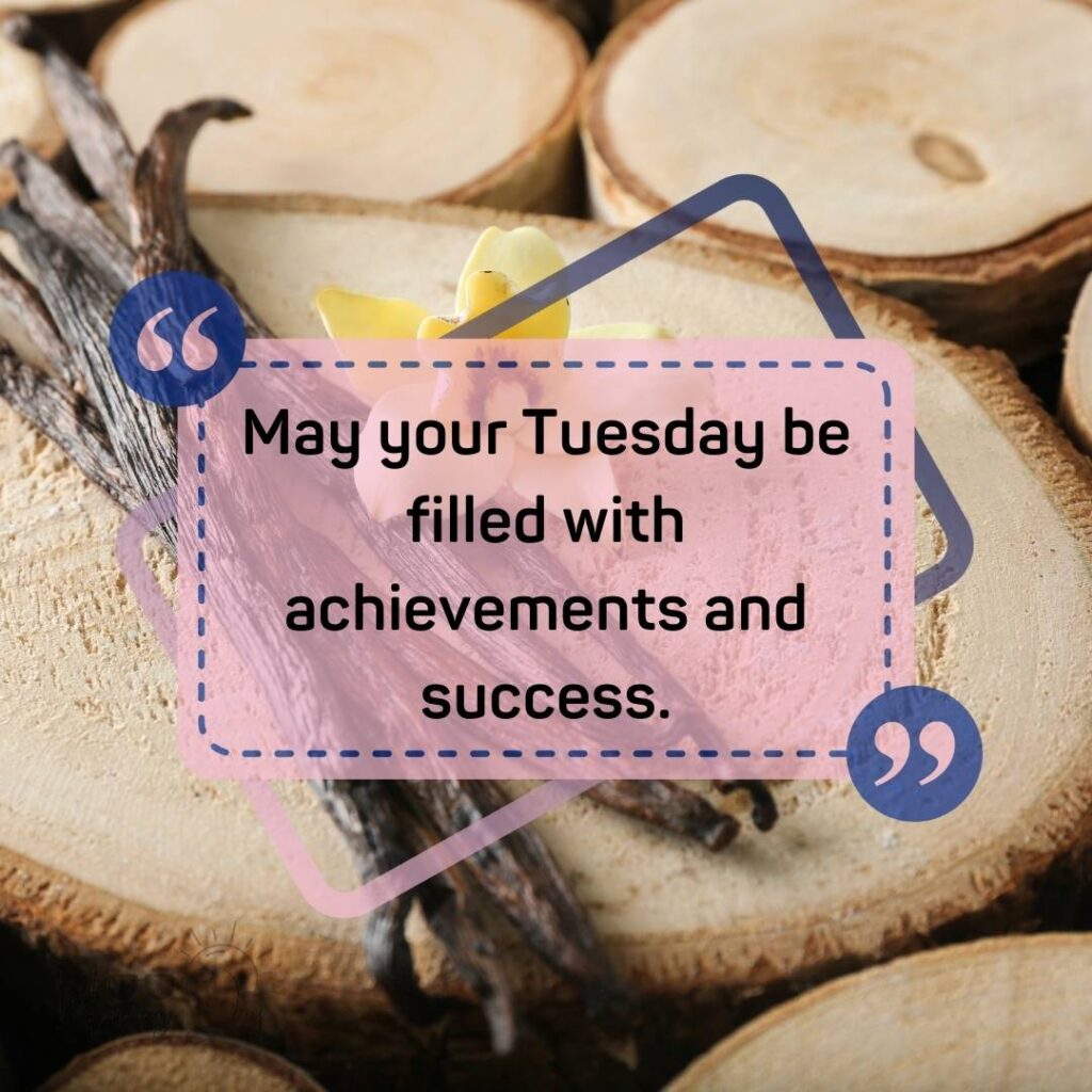 Tuesday Quotes for a Dynamic Week Ahead 2 happy Tuesday quotes-94
