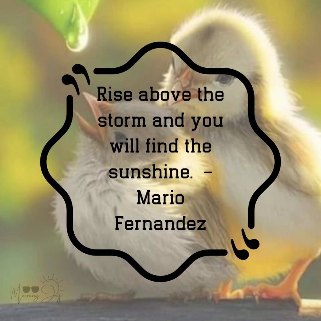 Inspirational Encouraging Quotes to Uplift Your Day 99 short words of encouragement and strength-13