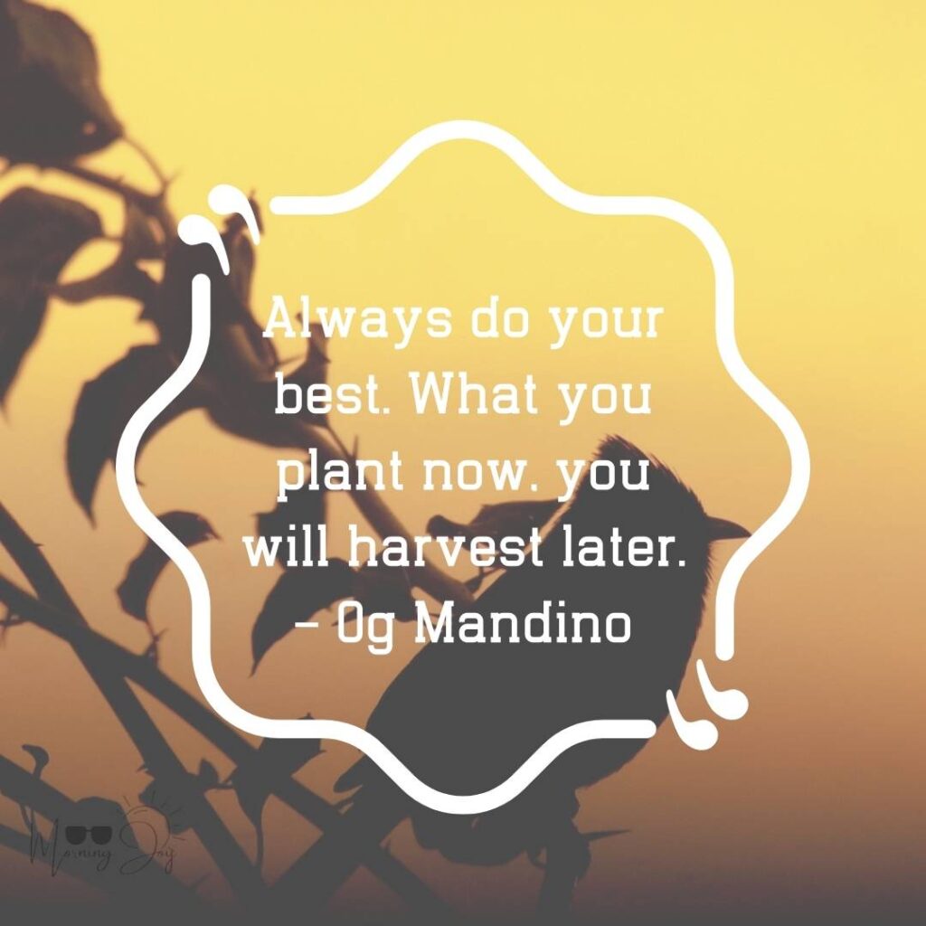 Inspirational Encouraging Quotes to Uplift Your Day 73 words of encouragement for everyday life-49