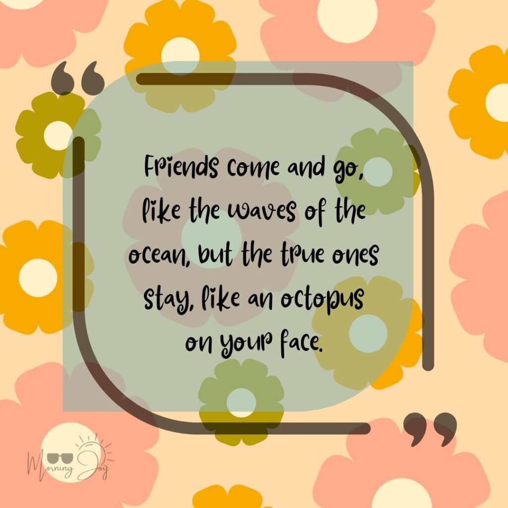 sweet funny friendship quotes-23