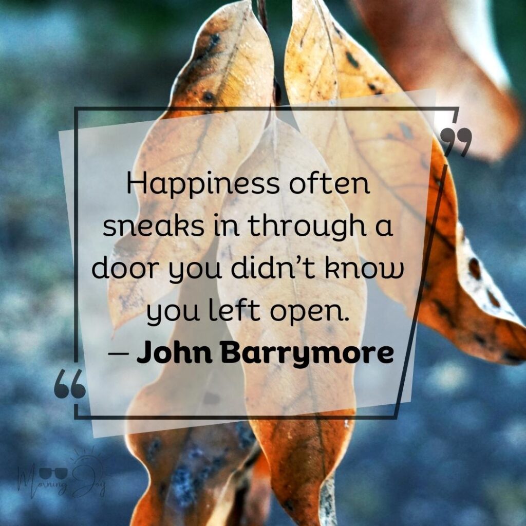 amazing quotes about happiness-64