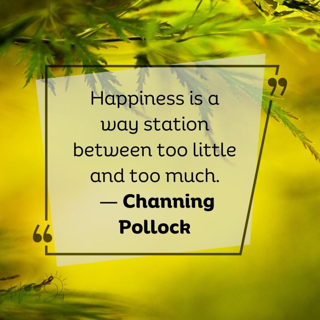 amazing quotes about happiness-67