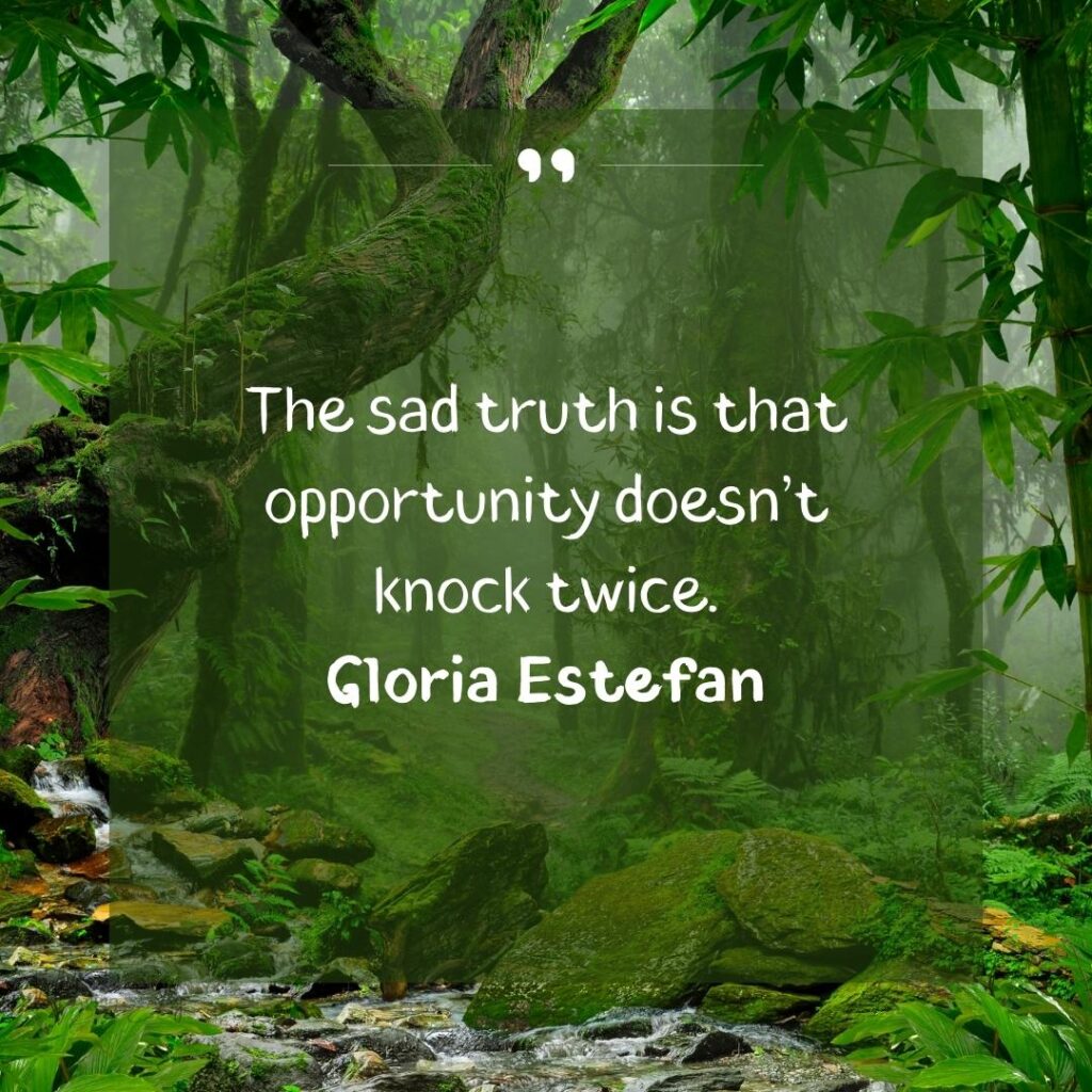 Embrace Change: Motivational Opportunity Quotes 97 timing and opportunity quotes-1